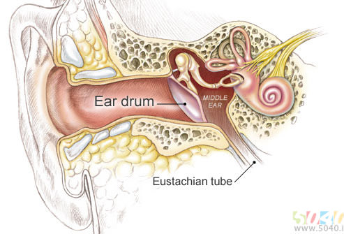 عفونت گوش 1