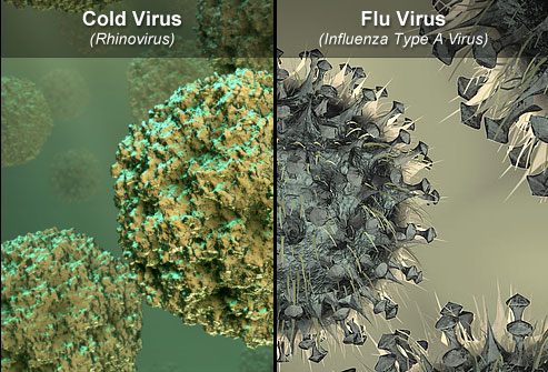 سرماخوردگی و آنفلوانزا