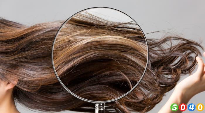 شناسایی نوع مو-5040