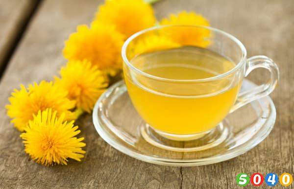 دمنوش ریشه قاصدک چاق کننده-5040