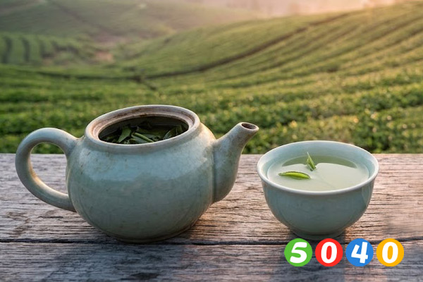 بهترین چای سبز برای مصرف روزانه